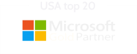 Microsoft gold parner in security solutions
