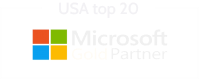 Microsoft gold parner in security solutions 